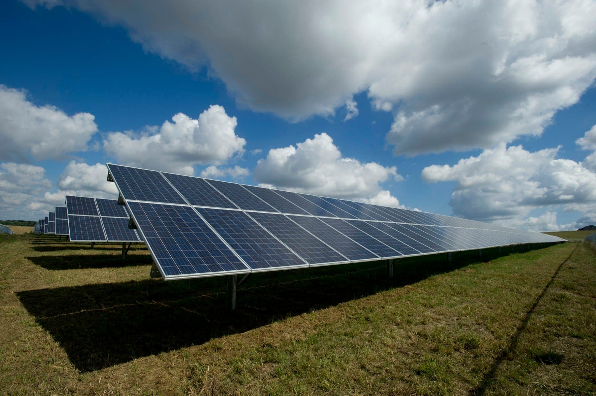 Řada fotovoltaických panelů na volné ploše